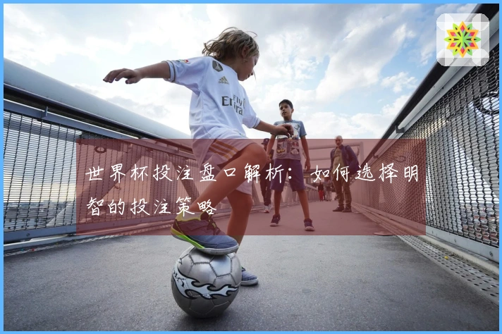 世界杯投注盘口解析：如何选择明智的投注策略
