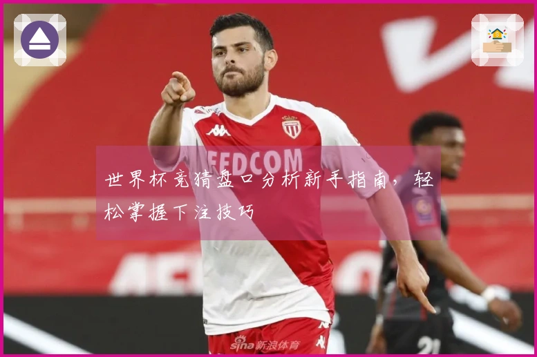 世界杯竞猜盘口分析新手指南，轻松掌握下注技巧