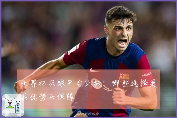 世界杯买球平台比较：哪些选择更具优势和保障