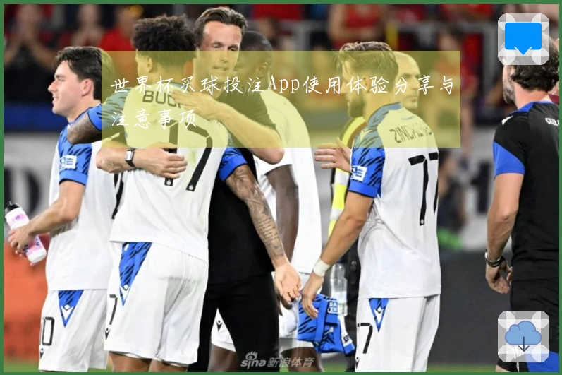 世界杯买球投注App使用体验分享与注意事项