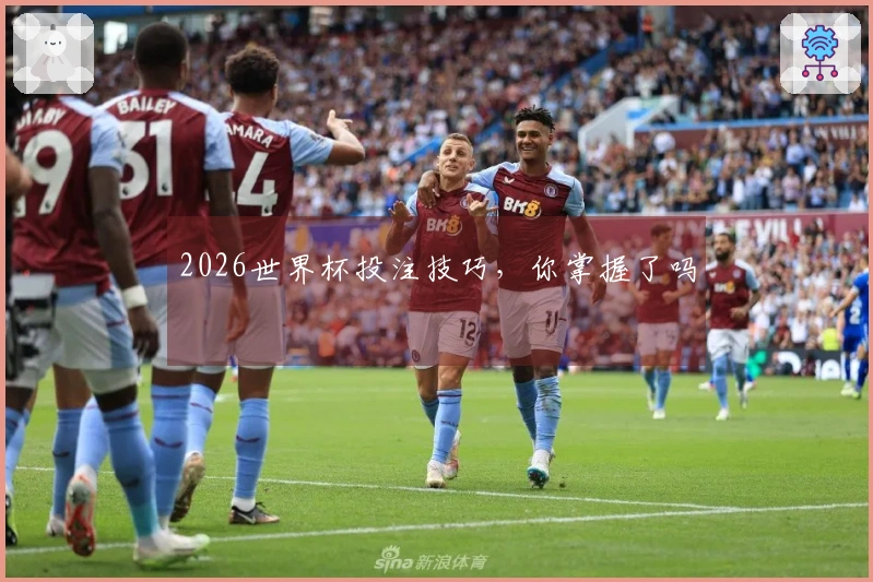 2026世界杯投注技巧，你掌握了吗